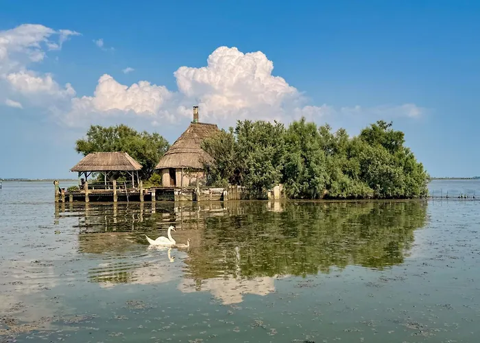 In 43428 Apartment *